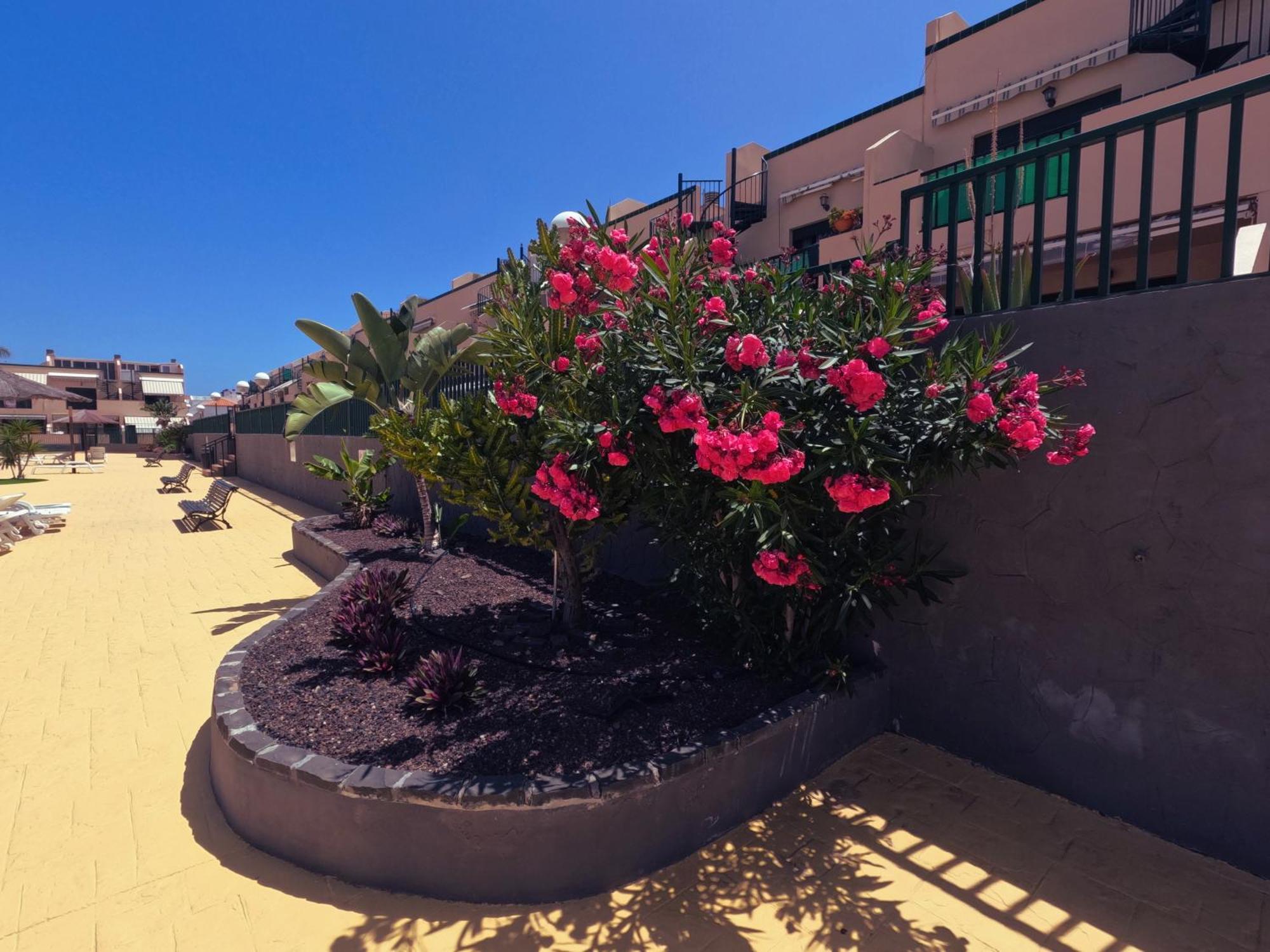 Apartamento Casa Montana Amarilla 60 Costa del Silencio Exterior foto